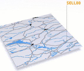 3d view of Selloo