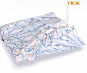 3d view of Timsal