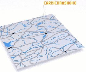 3d view of Carricknashoke