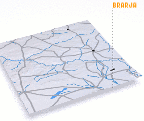 3d view of Brarja