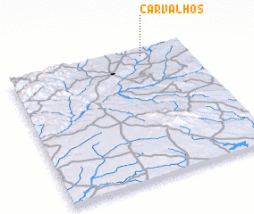 3d view of Carvalhos