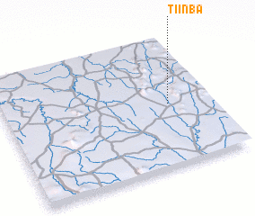 3d view of Tiinba