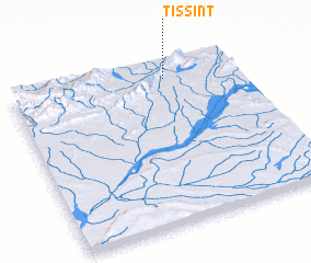 3d view of Tissint