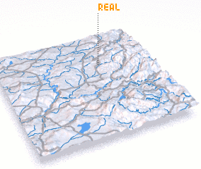 3d view of Real