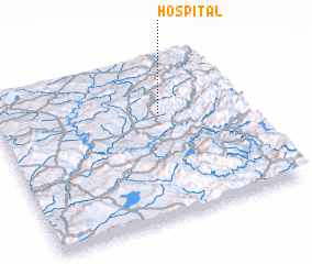 3d view of Hospital