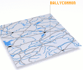 3d view of Ballycommon