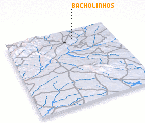 3d view of Bacholinhos