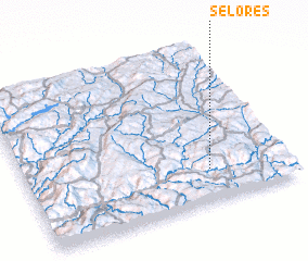 3d view of Selores