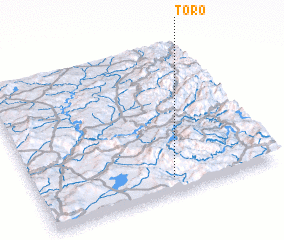 3d view of Toro