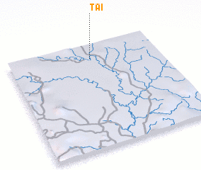 3d view of Taï