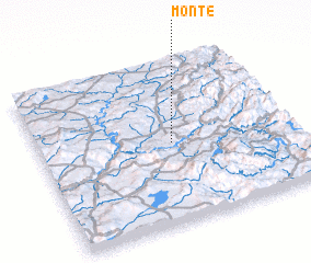 3d view of Monte