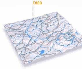 3d view of Coeo