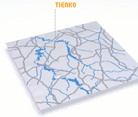 3d view of Tienko