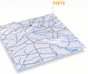 3d view of Forte