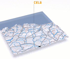 3d view of Cela