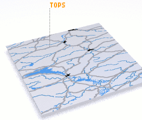 3d view of Tops