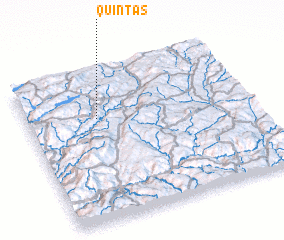 3d view of Quintas