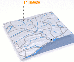 3d view of Tamejoso