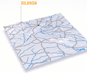 3d view of Silvosa