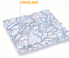 3d view of Carvalhais