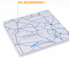 3d view of Oulad Saïd Ben Ali