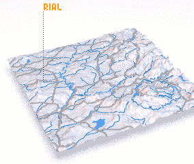 3d view of Rial