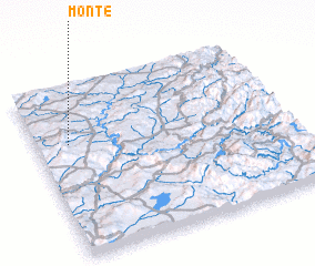 3d view of Monte