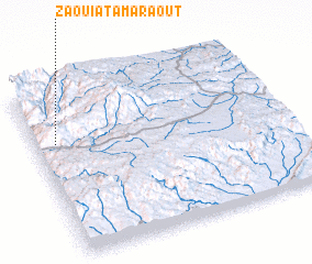 3d view of Zaouia Tamaraout