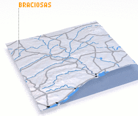 3d view of Braciosas