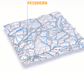 3d view of Pesqueira