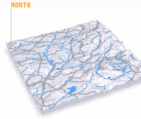 3d view of Monte