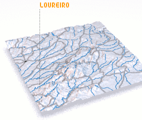 3d view of Loureiro