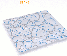 3d view of Senko