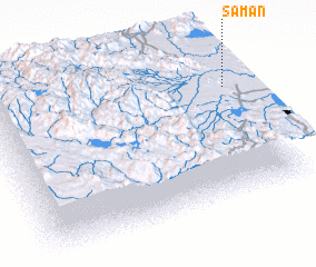 3d view of Samán