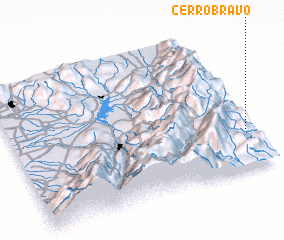 3d view of Cerro Bravo