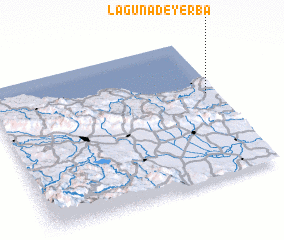 3d view of Laguna de Yerba