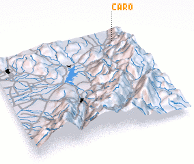 3d view of Caro