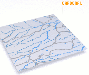 3d view of Cardonal