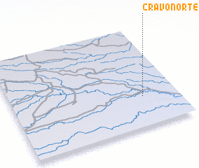 3d view of Cravo Norte