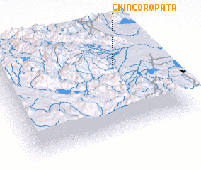 3d view of Chincoropata