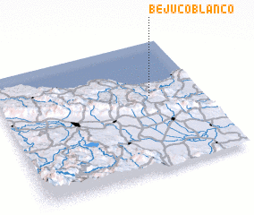 3d view of Bejuco Blanco