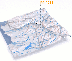 3d view of Paipote