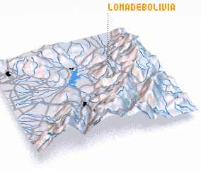 3d view of Loma de Bolivia