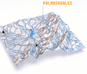 3d view of Palmas Reales