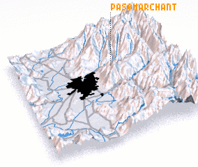 3d view of Paso Marchant