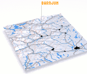 3d view of Barnjum