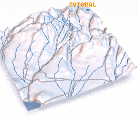 3d view of Totoral