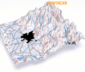 3d view of Guayacán