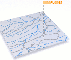 3d view of Miraflores