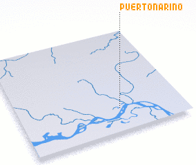 3d view of Puerto Nariño